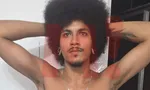 Imagem ilustrativa da imagem 