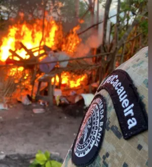 Imagem ilustrativa da imagem Ação prende suspeitos de tráfico em Maraú e apreende drogas e mais