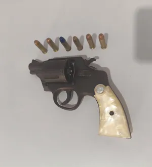 Imagem ilustrativa da imagem Adolescente é apreendido com revólver em colégio na Bahia