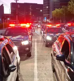 Imagem ilustrativa da imagem Bichos soltos que deceparam dedos de adolescente vão para a gaiola