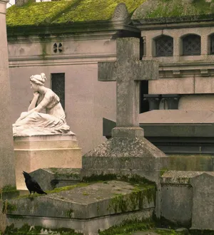 Imagem ilustrativa da imagem Cabeça de mulher assassinada por ex-namorado é roubada do túmulo