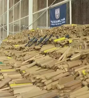 Imagem ilustrativa da imagem Doguinhos ‘x9’ localizam 50 toneladas de maconha