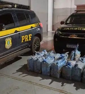 Imagem ilustrativa da imagem Operação conjunta apreende 410 kg de cocaína na Bahia