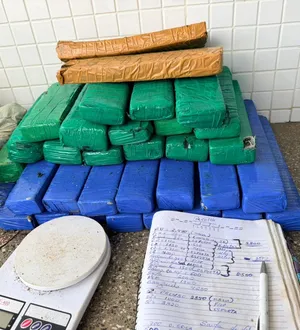 Imagem ilustrativa da imagem Polícia apreende 40 tabletes de maconha em casa abandonada