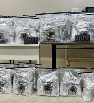 Imagem ilustrativa da imagem Polícia barra encomenda do CV com destino ao Nordeste de Amaralina