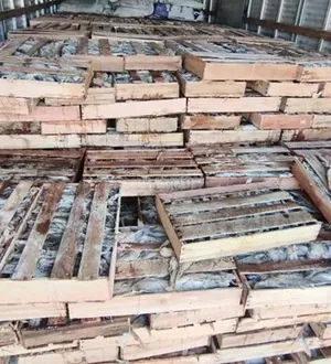 Imagem ilustrativa da imagem PRF apreende nove toneledas de peixes às vésperas da Semana Santa