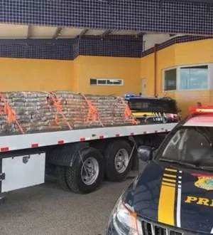 Imagem ilustrativa da imagem PRF apreende quase 2 toneladas de maconha na Bahia
