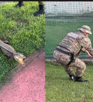 Imagem ilustrativa da imagem Role aleatório: PM resgata Jacaré na Avenida Luís Viana Filho