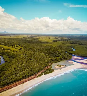 Imagem ilustrativa da imagem Turistas são atingidas por bala perdida em disputa de terra na Bahia