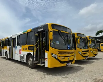 Imagem ilustrativa da imagem 