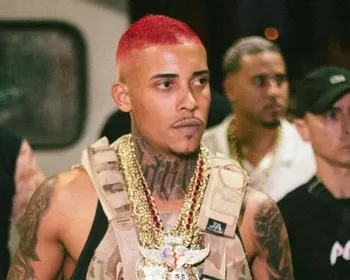 Imagem ilustrativa da imagem 