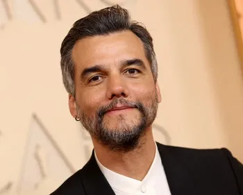 Imagem ilustrativa da imagem 