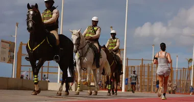 Imagem ilustrativa da imagem Vídeo: cavalo derruba policial e atinge público no Carnaval