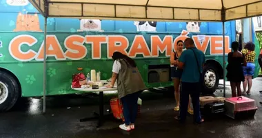 Imagem ilustrativa da imagem Amaralina recebe mutirão do Castramóvel por 30 dias em Salvador