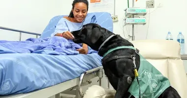 Imagem ilustrativa da imagem Animais de estimação são liberados para ficarem com tutores internados