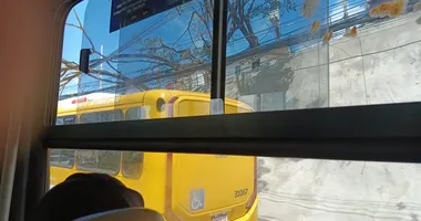 Imagem ilustrativa da imagem Árvore cai sobre ônibus na Paralela; duas vias estão interditadas