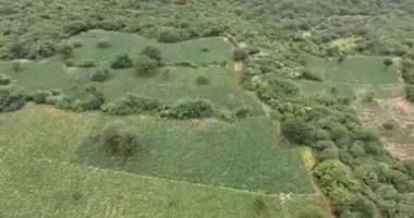 Imagem ilustrativa da imagem Chapada Diamantina: tonelada de maconha é apreendida em fazenda