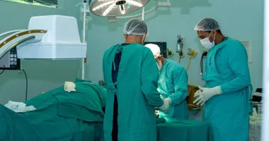 Imagem ilustrativa da imagem Doação de órgãos: veja como registrar sua decisão de forma gratuita