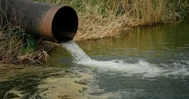 Imagem ilustrativa da imagem Ex-astro de reality show é encontrado morto em vala