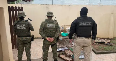 Imagem ilustrativa da imagem Homem é preso por atuar em facção de tráfico animal interestadual