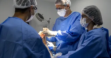 Imagem ilustrativa da imagem Hospital em Monte Serrat realiza triagem em outubro