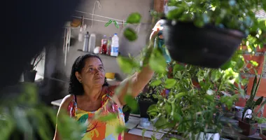 Imagem ilustrativa da imagem Mais que um hobby: cuidar de plantas traz bem-estar e acolhimento