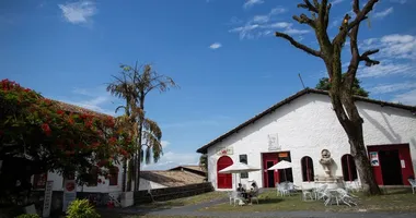 Imagem ilustrativa da imagem Oficina de grafite e rodas de conversa movimentam o MAM