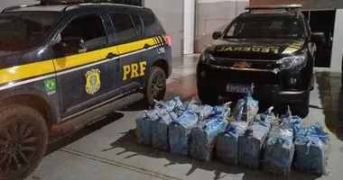 Imagem ilustrativa da imagem Operação conjunta apreende 410 kg de cocaína na Bahia