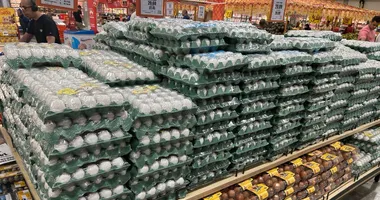 Imagem ilustrativa da imagem Preço do ovo dispara na Semana Santa