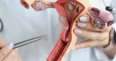 Imagem ilustrativa da imagem Prevenção é chave contra câncer de colo do útero