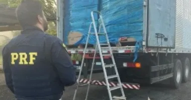 Imagem ilustrativa da imagem PRF apreende 265 mil maços de cigarros em carga de biscoito
