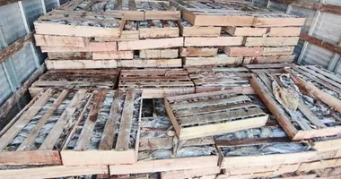 Imagem ilustrativa da imagem PRF apreende nove toneledas de peixes às vésperas da Semana Santa