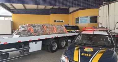 Imagem ilustrativa da imagem PRF apreende quase 2 toneladas de maconha na Bahia