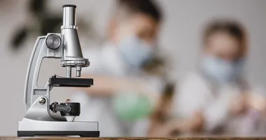 Imagem ilustrativa da imagem Superbactéria transmitida por sexo preocupa