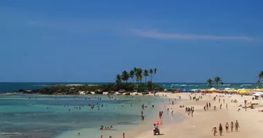 Imagem ilustrativa da imagem Vídeo: mulheres trocam socos no meio da praia em Morro de São Paulo