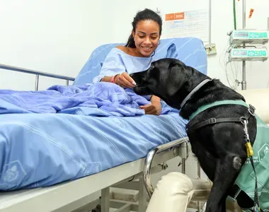 Animais precisarão cumprir critérios de saúde e ter autorização médica