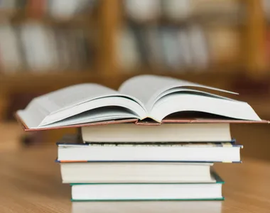 Aplicativo opera como uma espécie de biblioteca pública online