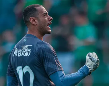 Goleiro foi um dos destaques da Chapecoense