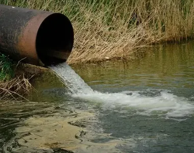 Famoso é encontrado morto em vala