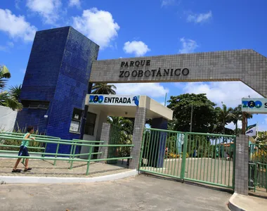 Caso lei seja aprovada, ficarão proibidas atividades de caráter comercial, recreativo ou de entretenimento
