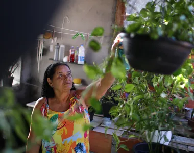 O ato de plantar provoca sensações positivas