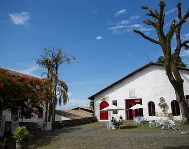 Museu de Arte Moderna (MAM)