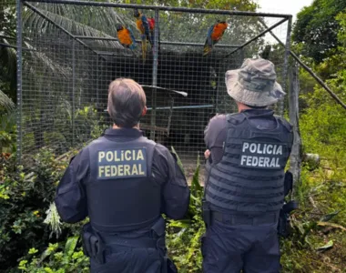 Mandados foram cumpridos na Operação Extinção Zero