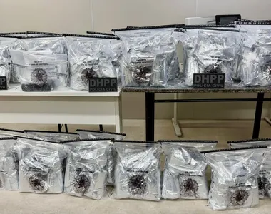 Cerca de 80kg de cocaína foram apreendidos