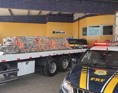 Maconha encontrada pela PRF