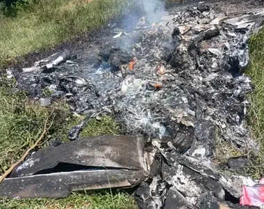 Avião caiu em área de mata