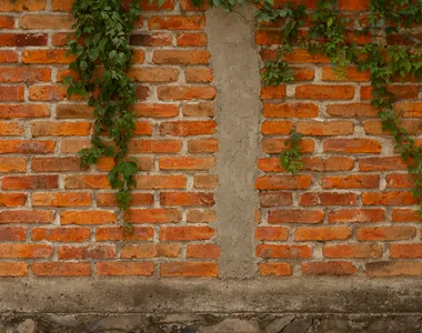 Estrutura tinha cerca de 2,5 metros de altura