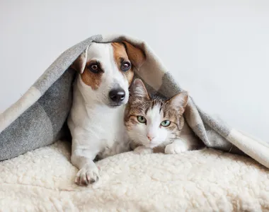 Nova lei já entrou em vigor