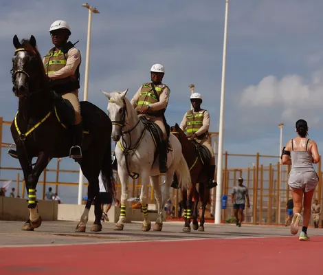 Imagem ilustrativa da imagem Vídeo: cavalo derruba policial e atinge público no Carnaval
