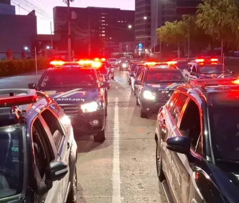 Imagem ilustrativa da imagem Bichos soltos que deceparam dedos de adolescente vão para a gaiola